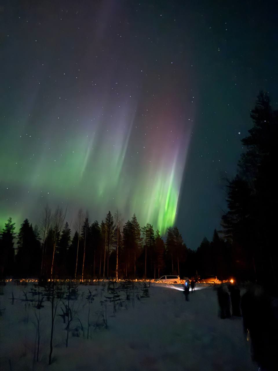 Purple and green aurora over a forest with warm lights below