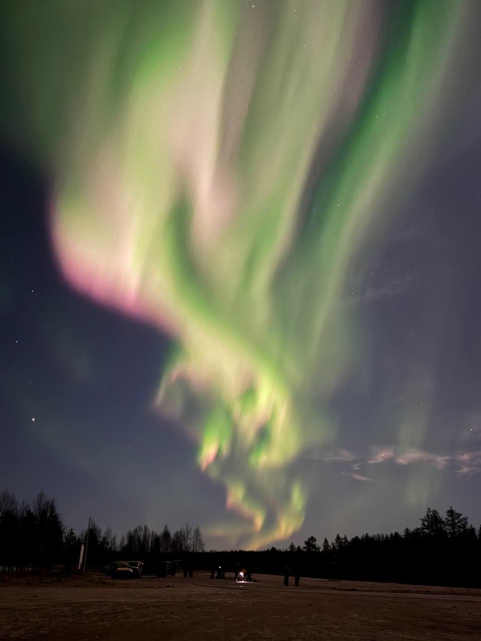 Pink and green aurora swirl over a field