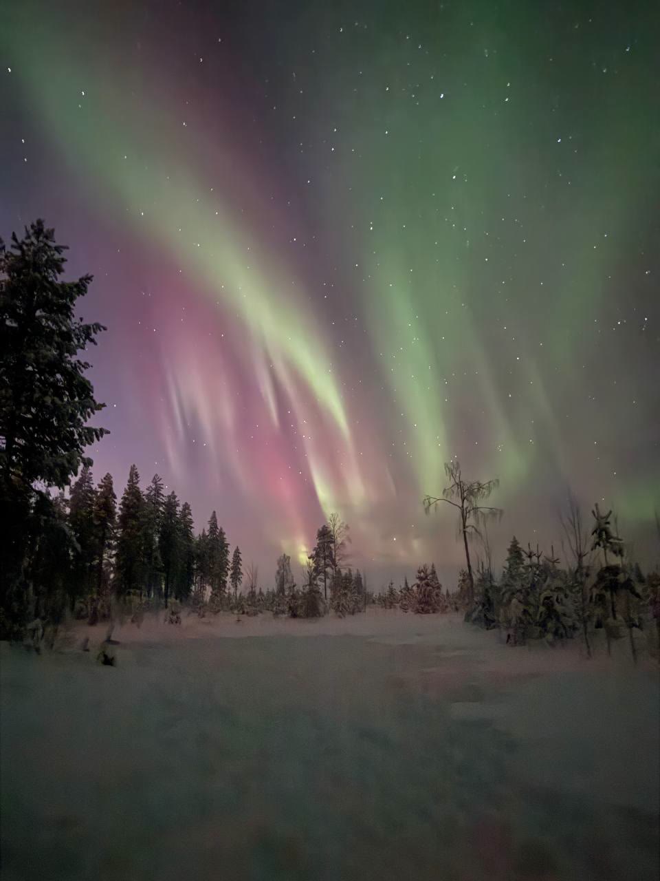 Pink and green aurora over a snowy field