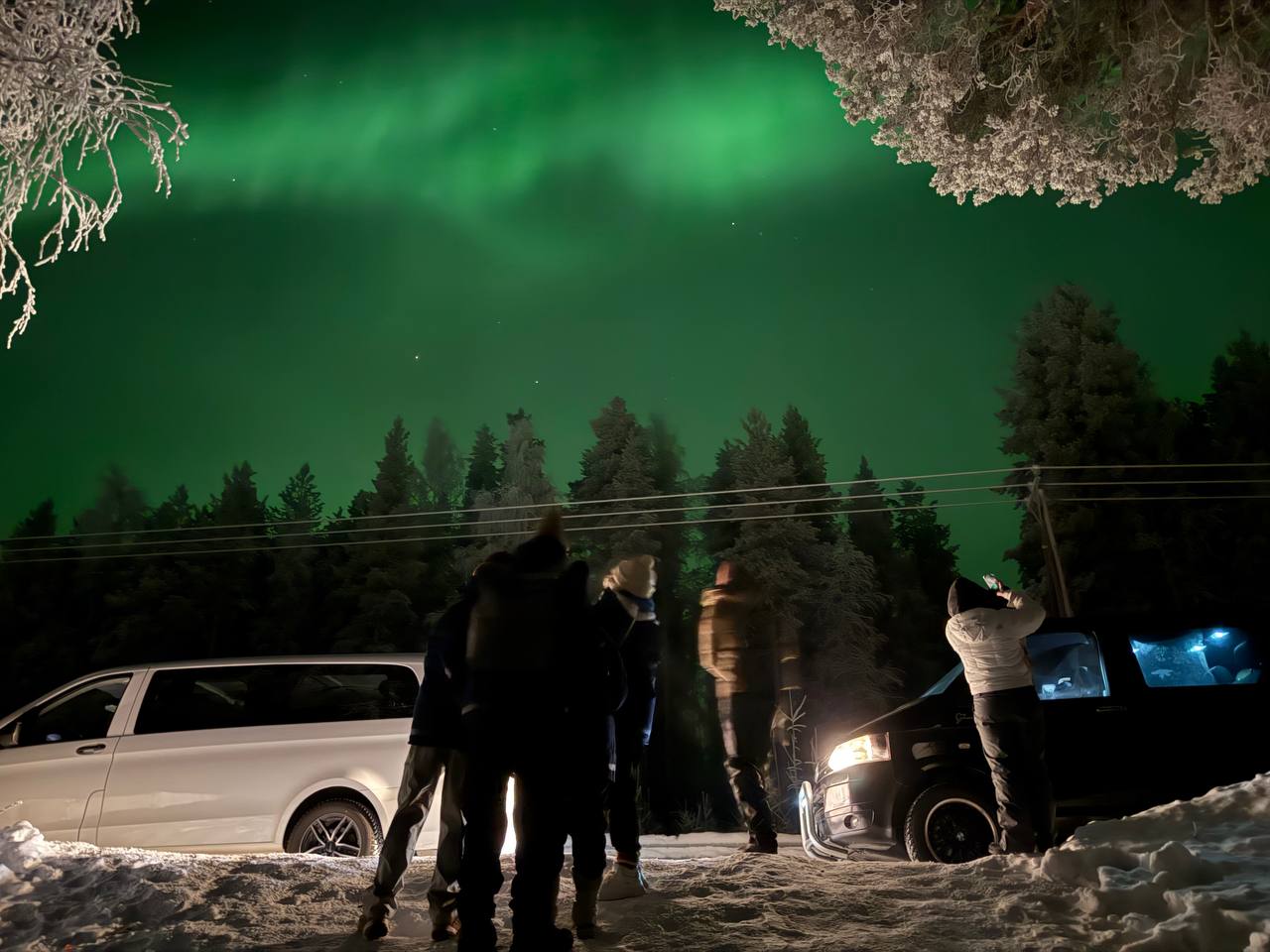 Guests watching a green aurora next to two minibuses