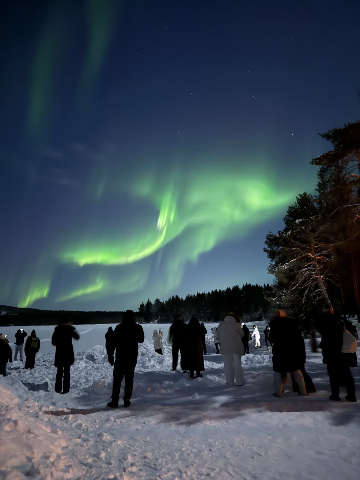 A group of tourists on a snowy lakeshore watching the Northern Lights